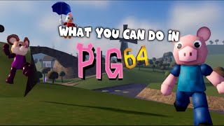 What You Can Do In Pig64.