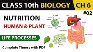 LIFE PROCESSES & NUTRITION 02 _Class 10th Biology Chapter 06 || Human & Plants || Complete ✅ Theory