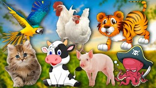 Cute Little Farm Animal Sounds - Leopard, Turkey, Cow, Squirrel - Music For Relax