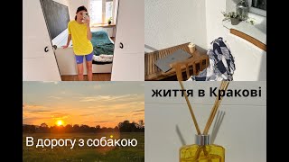 🇵🇱VLOG життя в Кракові ♡ пакуємось в дорогу з собакою, 6AM club, розпакування подарунків