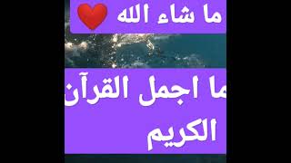 اللهم صل وسلم وبارك على سيدنا محمد وعلى اله وصحبه اجمعين ❤️