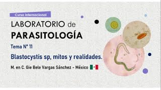 Tema N° 11: Blastocystis sp, mitos y realidades