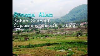 Keindahan Alam Kebun Seureuh Cipameungpeuk Sumedang