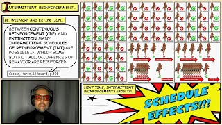 Intermittent Schedules of Reinforcement (Functional Analysis of Behavior 1)