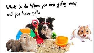 What To Do If You Have A Pet And You Are Going Away