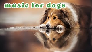 1 Hour Deep Relaxation Therapy for Cats & Dogs: Anti Anxiety Music