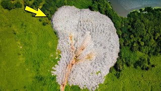 Это фото облетело весь интернет! Только посмотрите, что тут изображено!