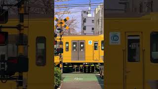 Amazing different trains in Japan