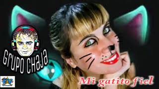 GRUPO CHAJA (MI GATITO FIEL)