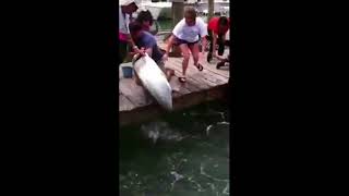 FISHING ALMOST WENT WRONG!!!