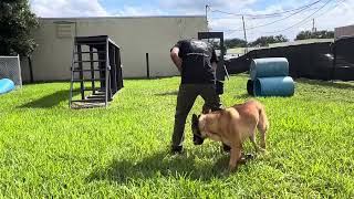 K9 ESOS