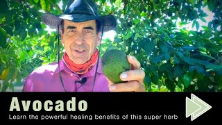 Amazing Benefits of Avocado