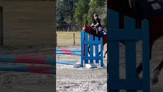 Jumping lesson!