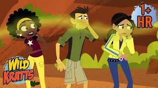 SKUNKED! 🤢💨 | NEW COMPILATION | Season 2 | Wild Kratts | 9 Story Kids