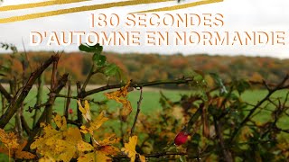 180 secondes d'Automne en Normandie