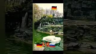 Bären in Russland VS Deutschland 😆😆😆👍😱