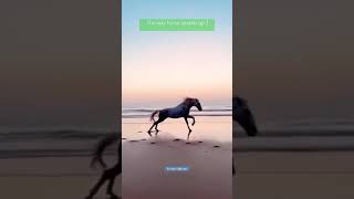 The way horse speeds up