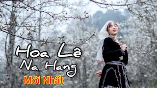 HOA LÊ NA HANG - LỄ HỘI HOA LÊ NA HANG TUYÊN QUANG