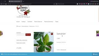 Tuto vidéo : Créer un produit simple avec Woocommerce pour WordPress