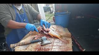 How to clean and cut up a Carp .to make Carp Ribs.