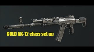 COD ghosts|Golden AK-12 gameplay|Class set up