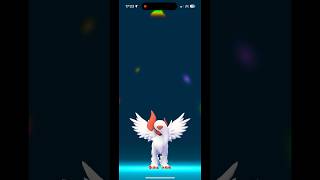 ✨💖 Shiny Absol goes MEGA!! 🪽 #shinydex #shinylivingdex #pokemongo #shinyabsol #XY #ORAS #absol