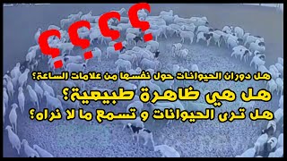 سبب دوران الحيوانات حول نفسها