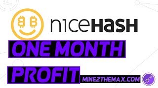 Nicehash one month profit check