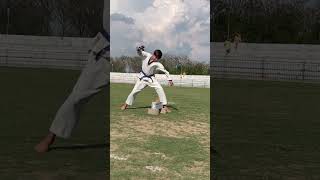 Taekwondo demonstration