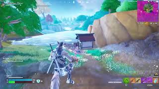 Random Fortnite Stream