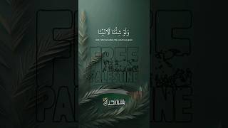 ولو شئنا لأتينا كل نفس هداها#فلسطين#quran عبد الرحمن مسعد. حالات واتس