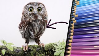 Drawing FEATHERS with Color Pencil!! Owl Tutorial!