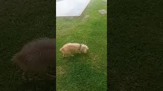 Katthy Princesa corriendo en el parque 🏞️ suscribete a éste canal