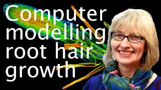 Using computers to study plant root growth - Claire Grierson 🌱🖥️