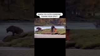 #bear #animals #funnyvideo  #funnyanimals #bear #karate #fighting