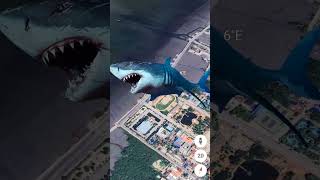 Floating Sharks 🦈😱 | #shorts #earthmystery #ytshorts