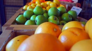 BreadFruits