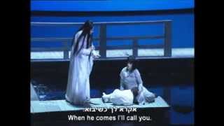 Puccini - Madama Butterfly Act III