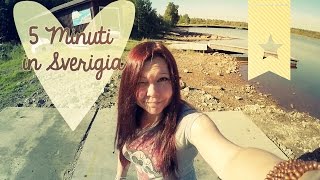 #5 Minuti in Sverigia - Day 13 - Goodbye Estate! ☼ - La Betty in Svezia