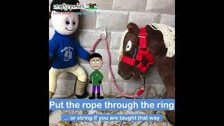 Tie a quick release knot with Crafty Ponies