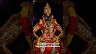 Sri Pandurangan Thennangur  Swarna Alangaram