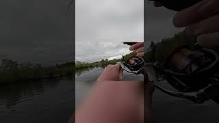 How I lost the biggest fish #foryou #fyp #fy #short #shorts #shortvideo #fishing #trout #shortsvideo