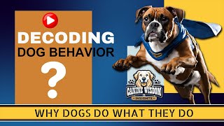 Episode 3: Decoding Dog Behavior: Why Dogs Do What They Do