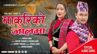 "Makuriko Jalma" By Ashok Tamang & Rojina Lama || New Dohori Song 2081/2024