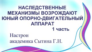 Наследственные механизмы возрождают юный опорно-двигательный аппарат 1 часть    Настрои Сытина Г.Н.