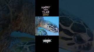 Happy New year 2022|short