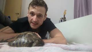 Tortoise Keeping