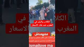 إذا كنت في المغرب فلا تستغرب الكلاب تنضم إلى صفوف البشر ضد غلاء المعيشة #المغرب