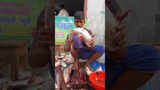 Amazing Pangash Fish Cutting Skills #ytshorts #shorts_videos #Fish Cutting 💥💥