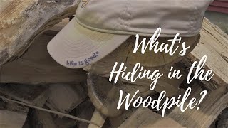 Homestead Living | Firewood